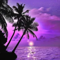 original sound - nightimem3usic