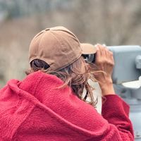 tiksomtawinyellowoil