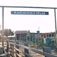 ranchorocavelha