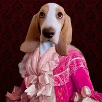 original sound - penny.the.basset.hound