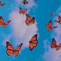 put your head on my shoulder by paul anka slowed