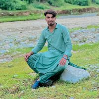 mehdihassan6952