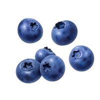 0_little_blue_berry_0