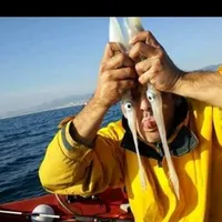 el rey de la tinta