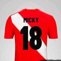 micky.a.su.stilo