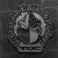 arquibancadalvinegra_14