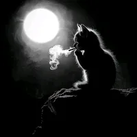 original sound - aneblar