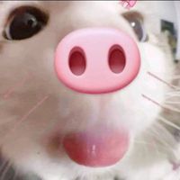 suara asli - RN_Story
