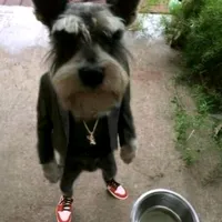 Hola mis chicas