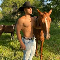 paulosergiocowboy