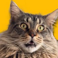 оригінальний аудіозапис