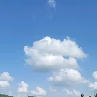 original sound - vmhgujvkn