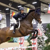 hf_equestrian8