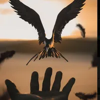 original sound - reflexiones076