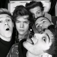 fan.girl.onedirection