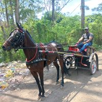 luizcarlos0226