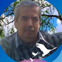 оригінальний аудіозапис