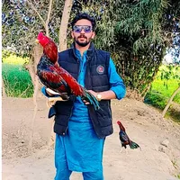 original sound - dhuddiapsamandarhai