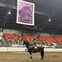 equestrianstrong