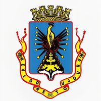 usgoreefoot