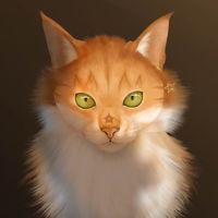 4mbercat