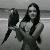 lari.slkmn