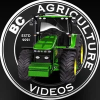 original sound - bcagvideos