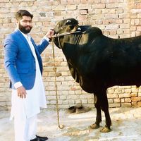shsaqibmunir333
