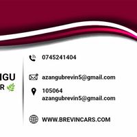 brevincars254