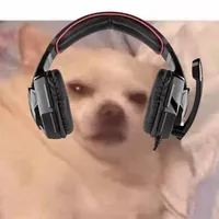 original sound - viralpr