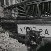 СВЕТЛАНА N EXTIME