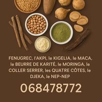 lamaisondesrondeurs1