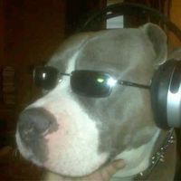 original sound