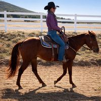 thecowboy_killr