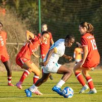 dimarofficiel01