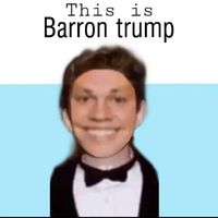 savebarronfromdonnie