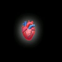 desabafo_de_cartas