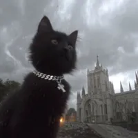 original sound - somni.core