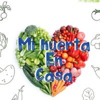 huerta_en_casa1709