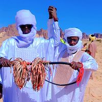 mollitoulli.ali.ehidimi