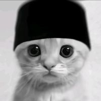 suara asli - Cuy's