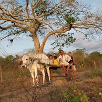 nordestinoemsaopaulo