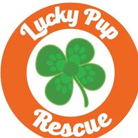 lucky.pup.rescue