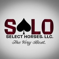 thesoloselecthorses