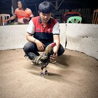thawatchaisanduan
