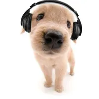 original sound - elmusiclyrics