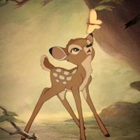 wonderfilmsz