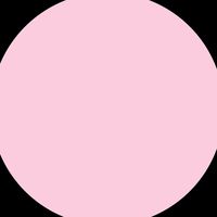 .secretcupcake