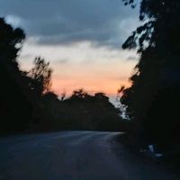 dani_qh0