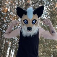 nixkat3